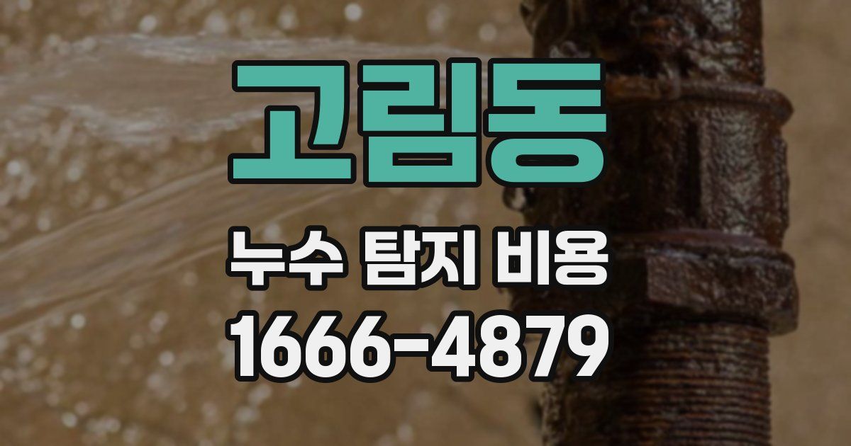 고림동 누수 탐지 비용