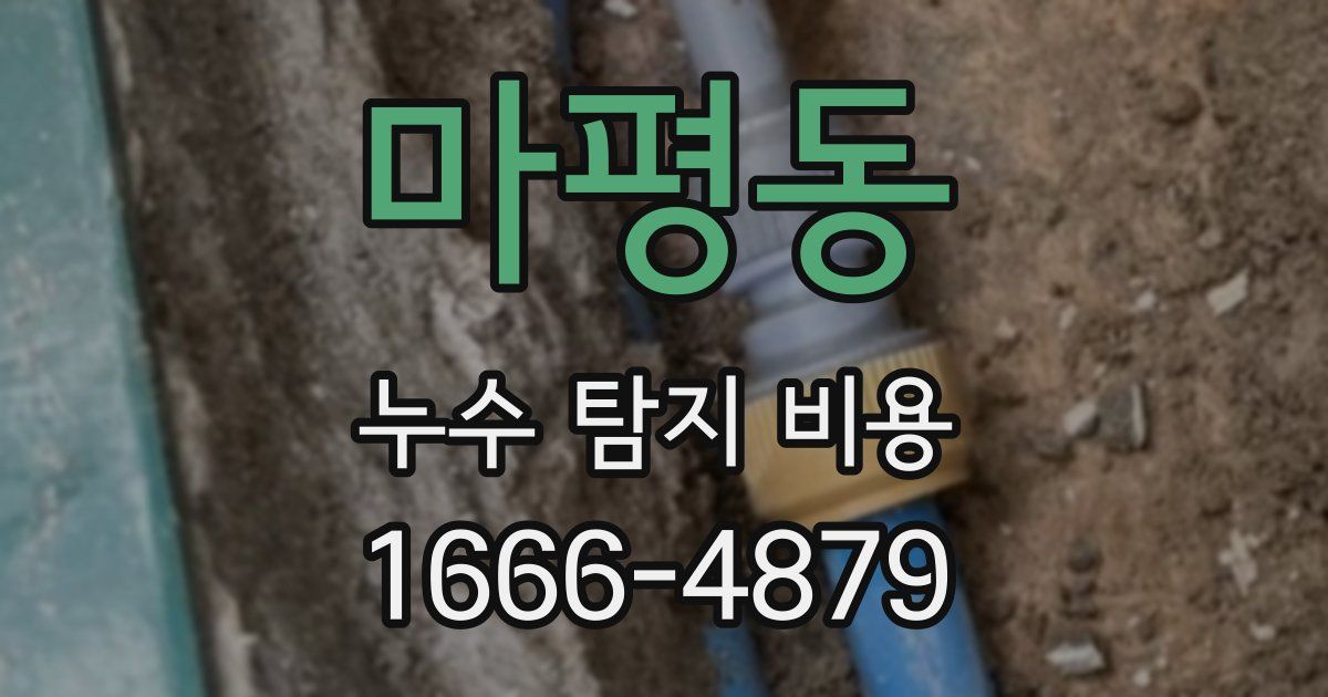 마평동 누수 탐지 비용