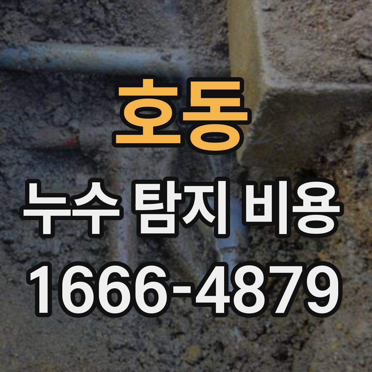 호동 누수 탐지 비용