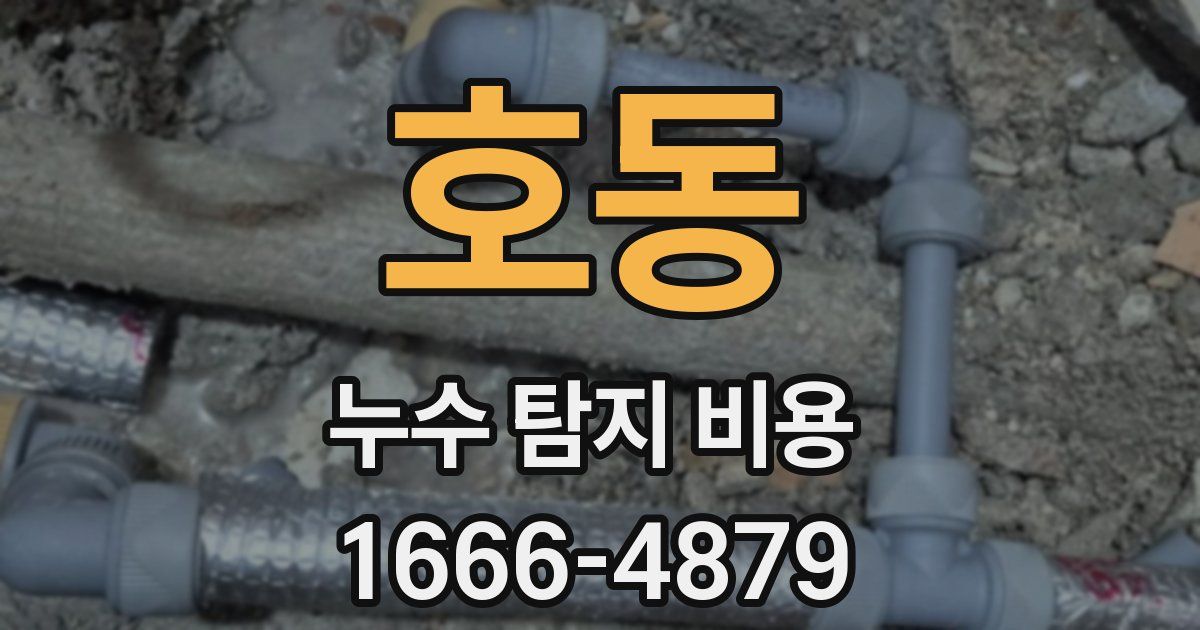 호동 누수 탐지 비용
