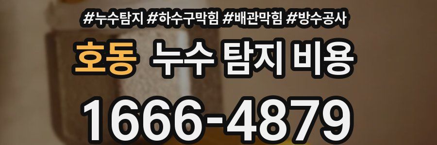 호동 누수 탐지 비용
