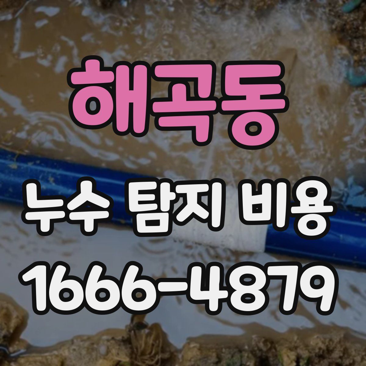 해곡동 누수 탐지 비용