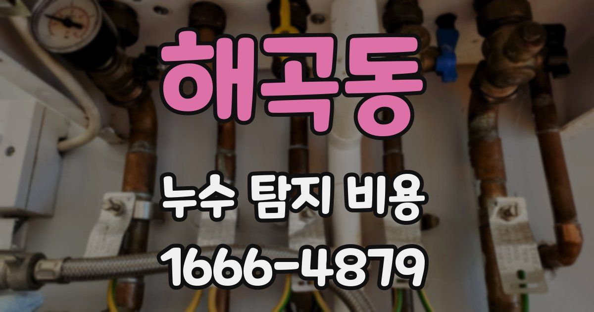 해곡동 누수 탐지 비용