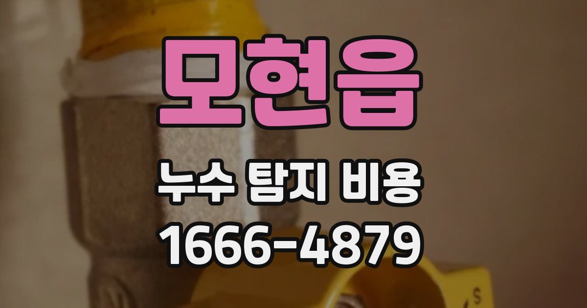 모현읍 누수 탐지 비용