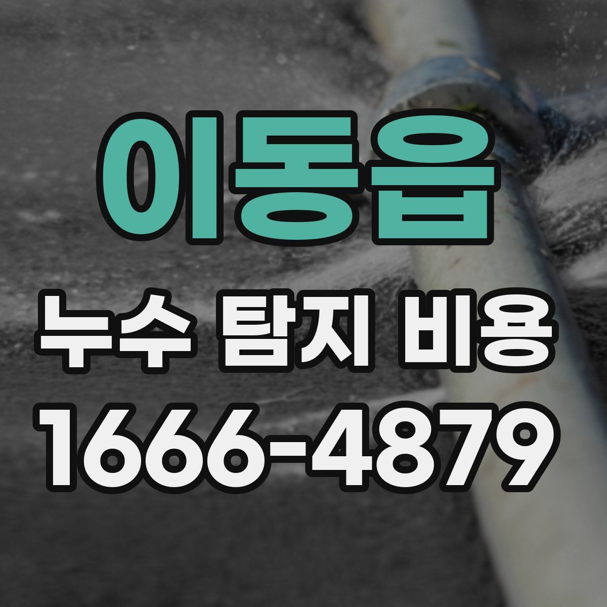 이동읍 누수 탐지 비용