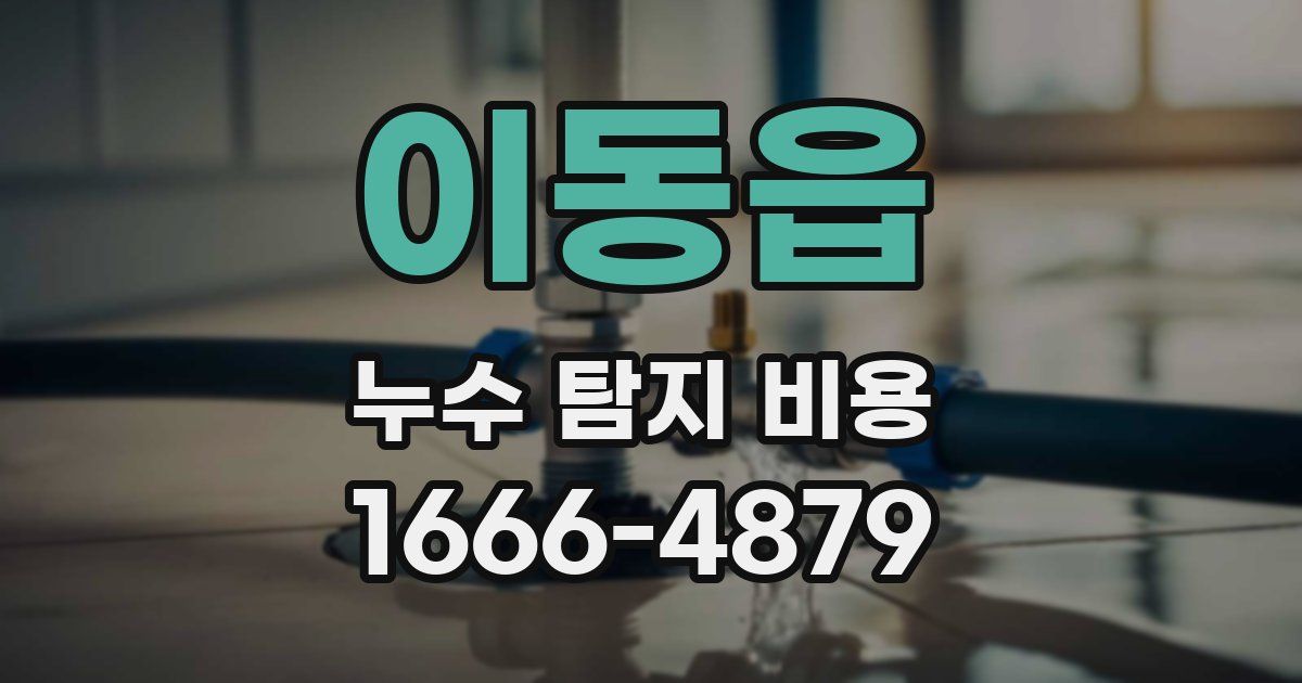 이동읍 누수 탐지 비용