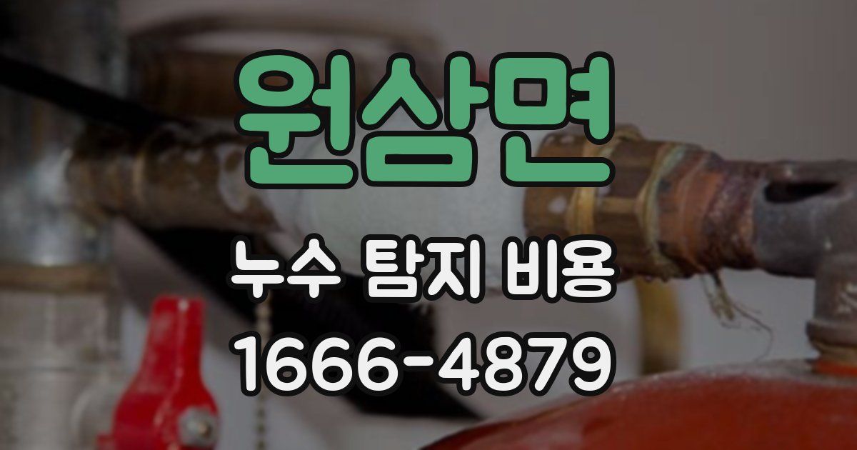 원삼면 누수 탐지 비용