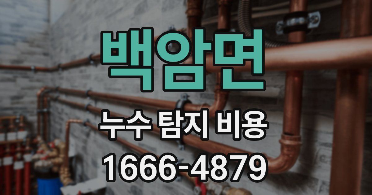 백암면 누수 탐지 비용
