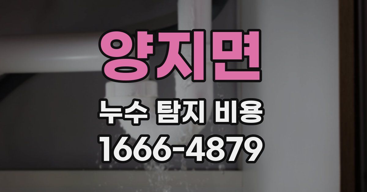 양지면 누수 탐지 비용