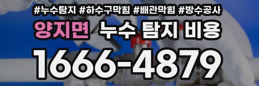 양지면 누수 탐지 비용