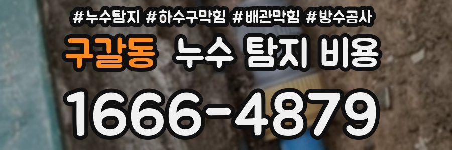 구갈동 누수 탐지 비용