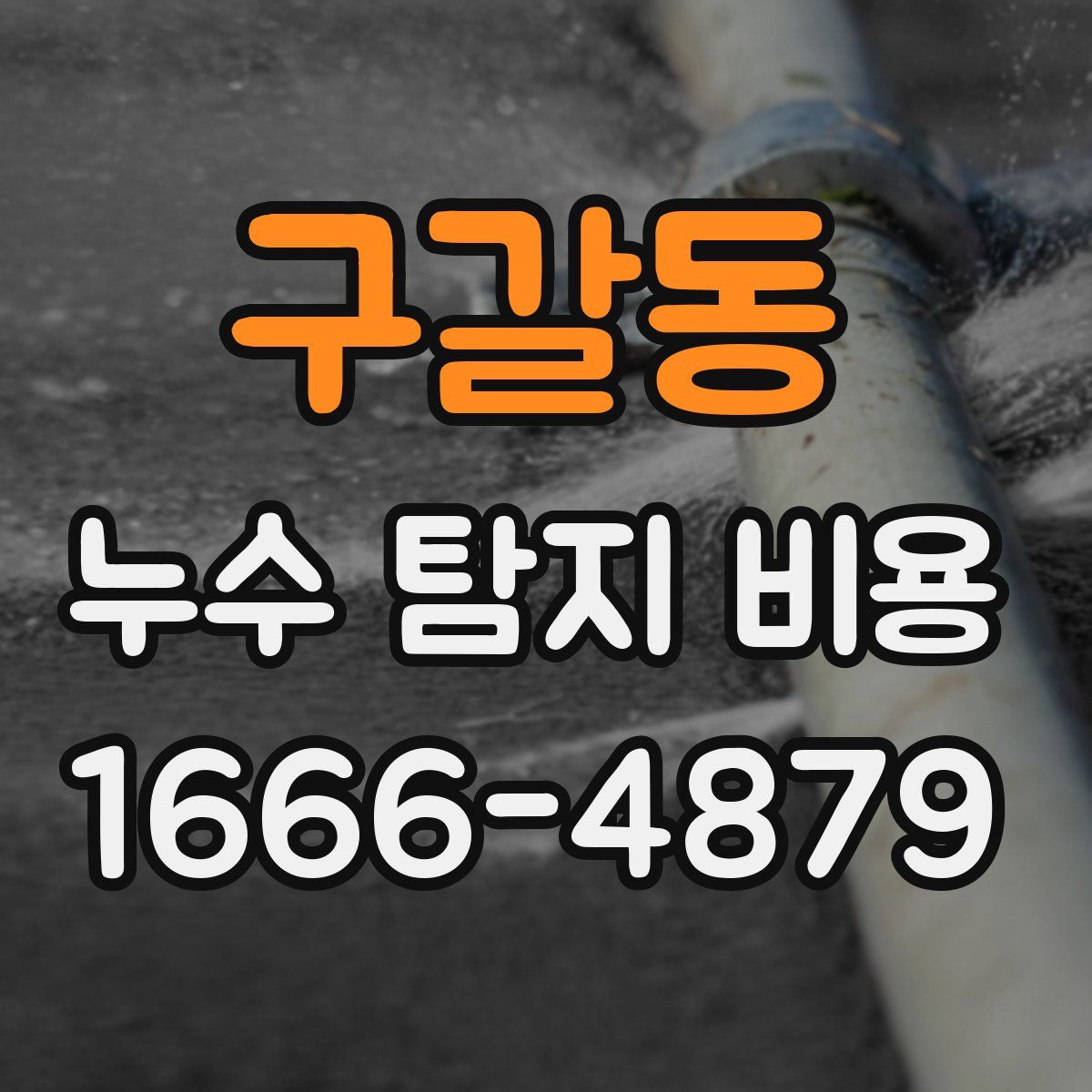 구갈동 누수 탐지 비용
