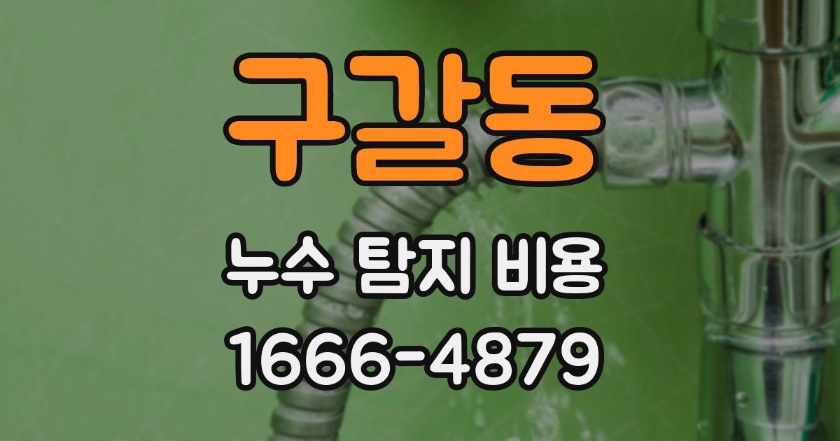 구갈동 누수 탐지 비용