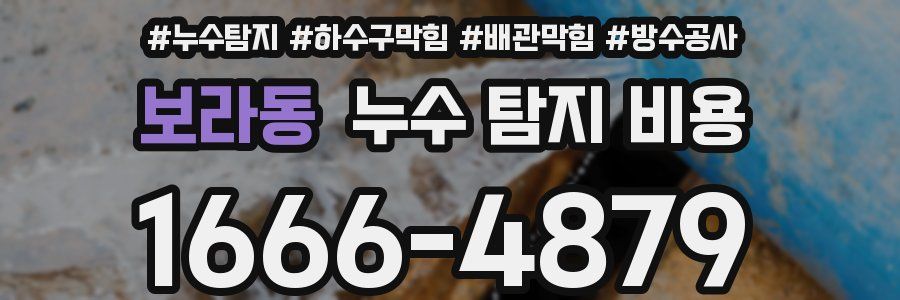 보라동 누수 탐지 비용