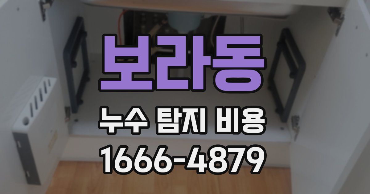보라동 누수 탐지 비용