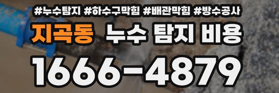 지곡동 누수 탐지 비용