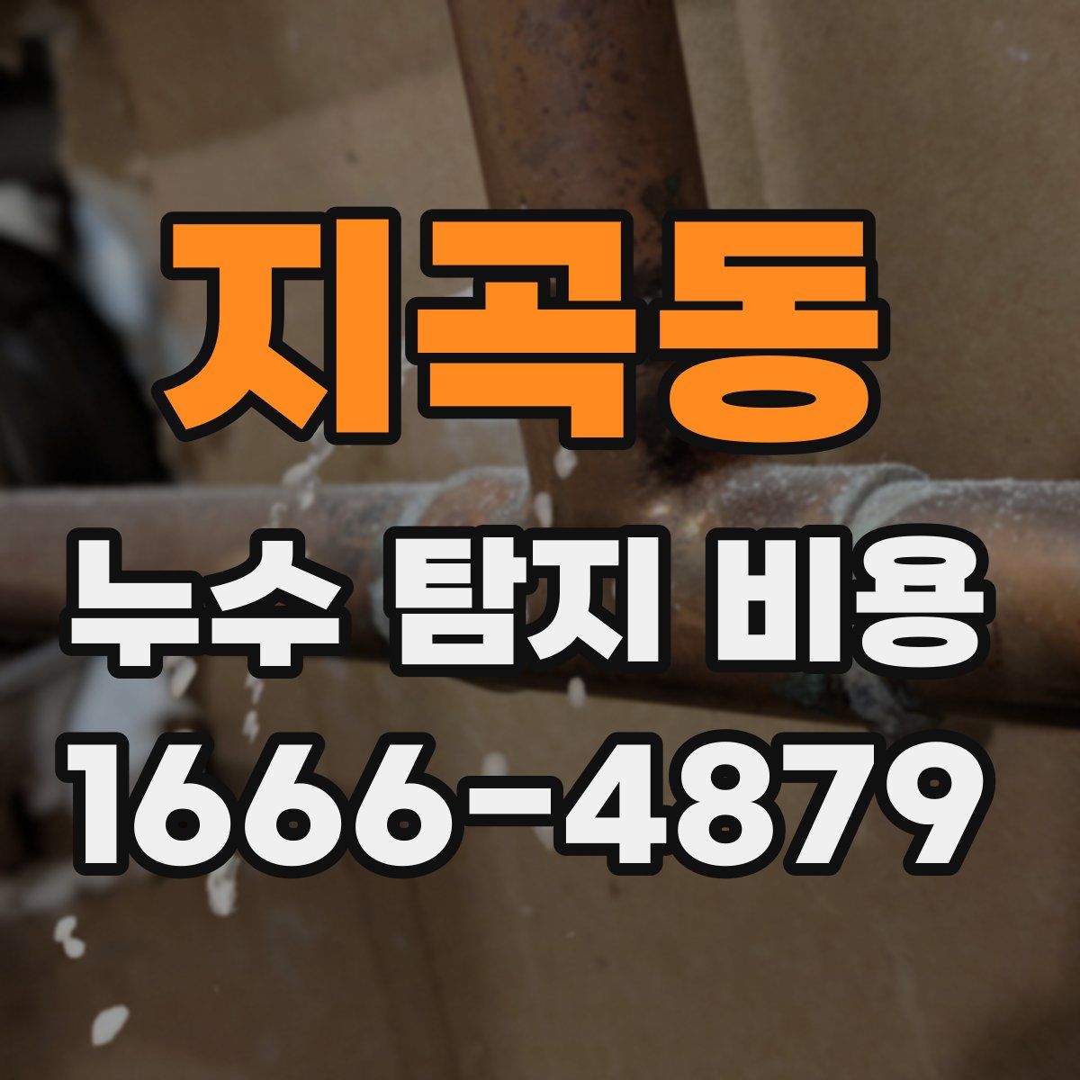 지곡동 누수 탐지 비용