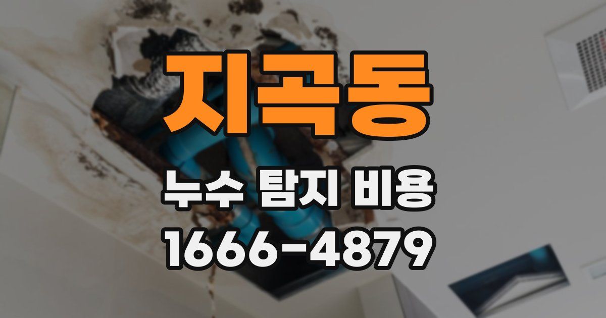 지곡동 누수 탐지 비용