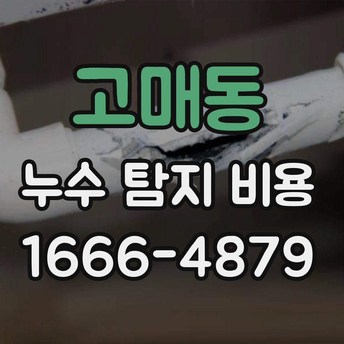 고매동 누수 탐지 비용