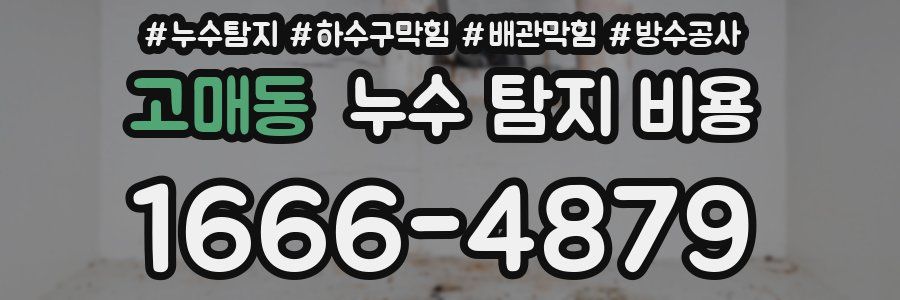 고매동 누수 탐지 비용