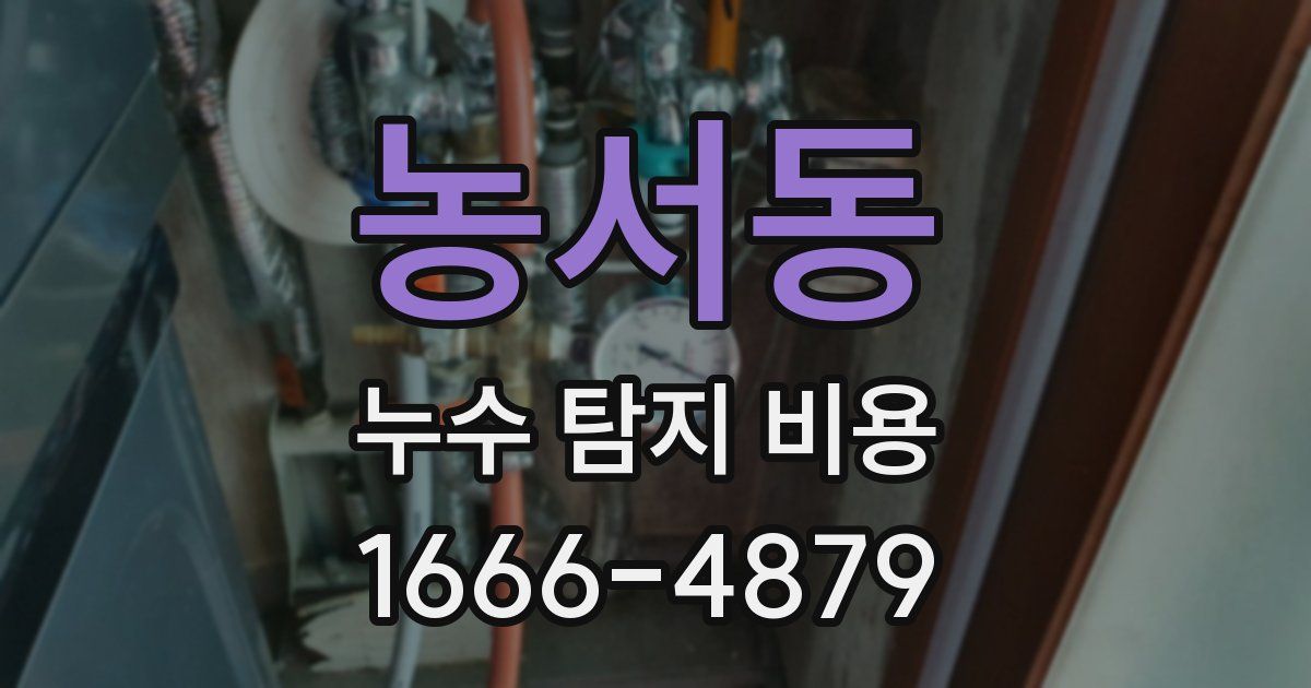 농서동 누수 탐지 비용