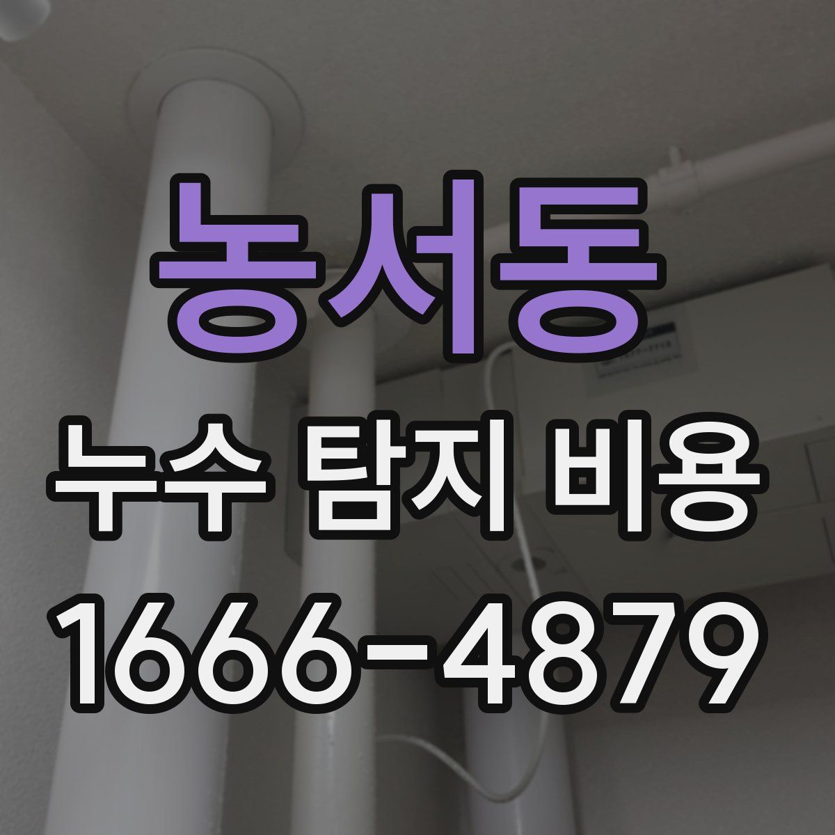 농서동 누수 탐지 비용