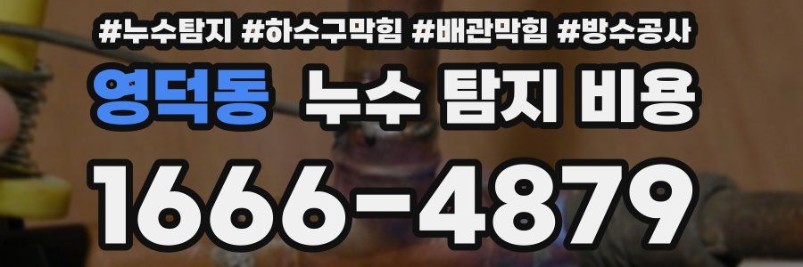 영덕동 누수 탐지 비용