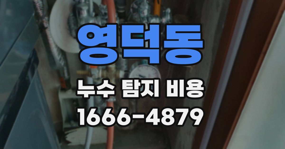 영덕동 누수 탐지 비용
