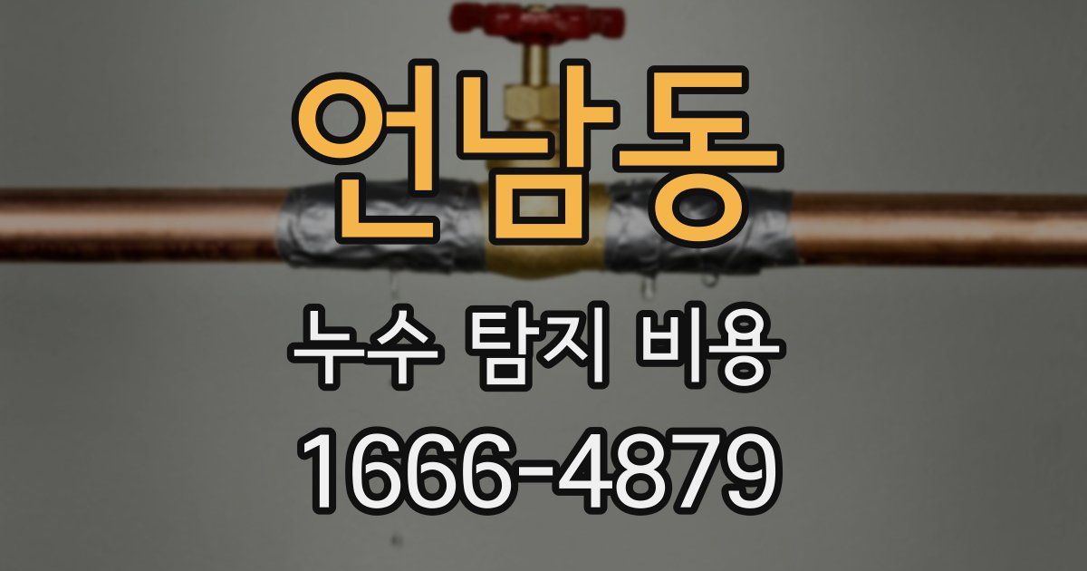 언남동 누수 탐지 비용