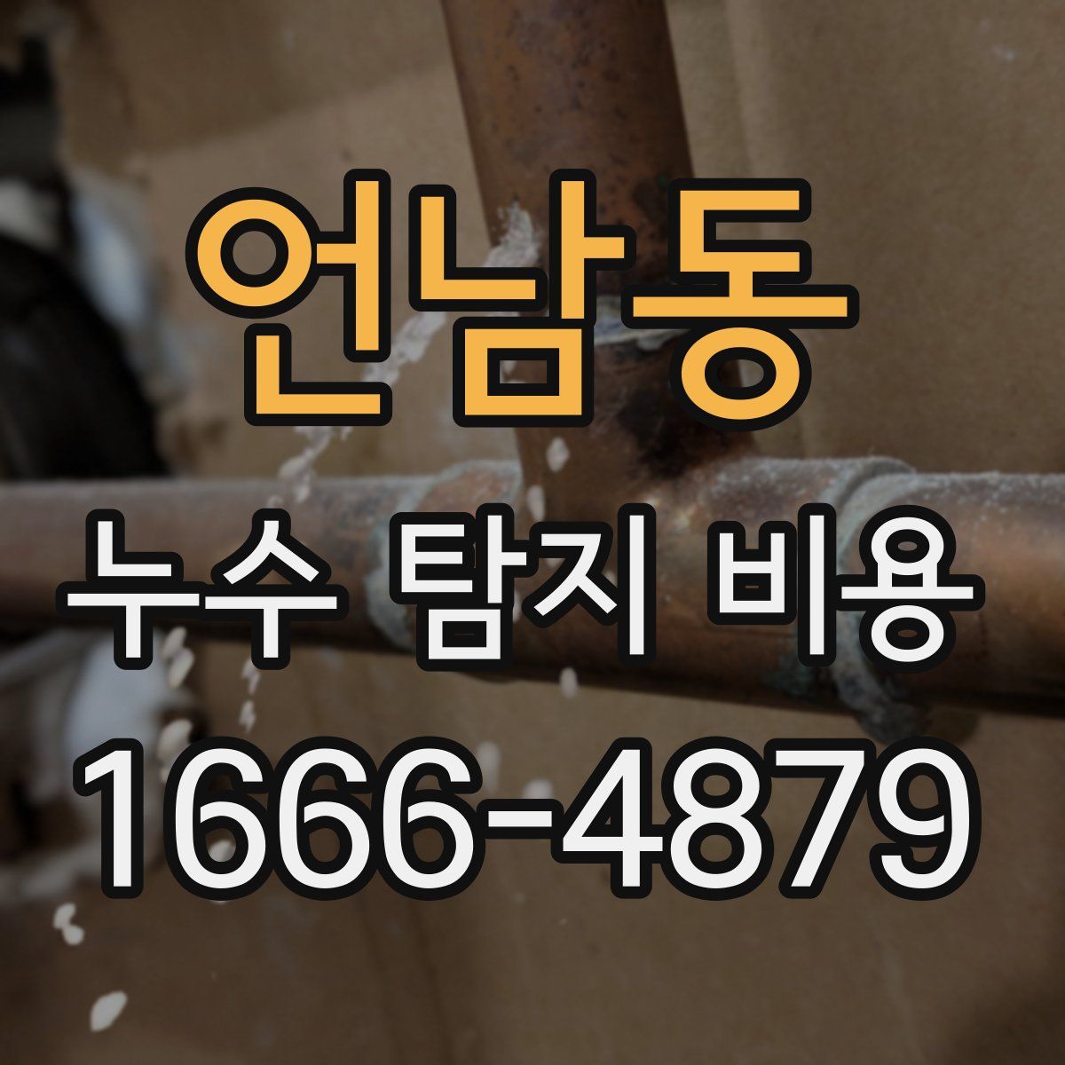 언남동 누수 탐지 비용