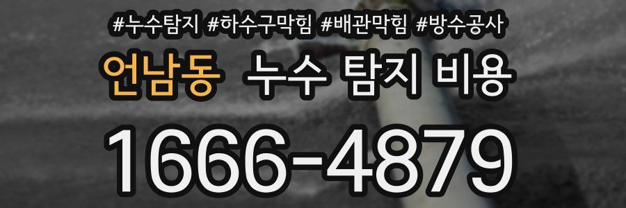 언남동 누수 탐지 비용