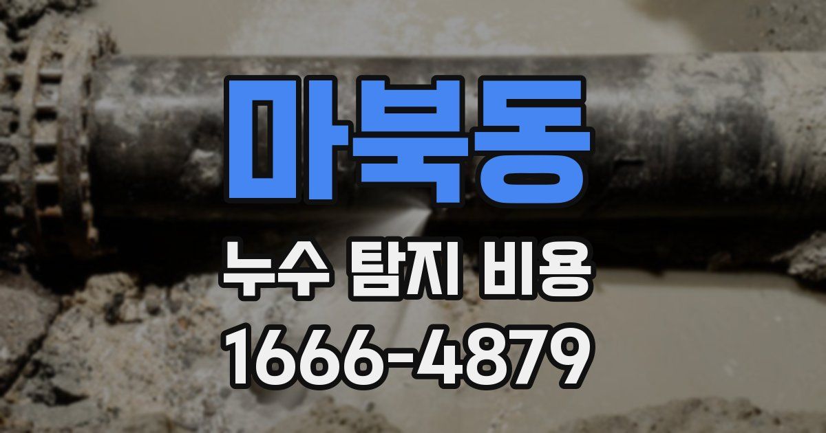 마북동 누수 탐지 비용