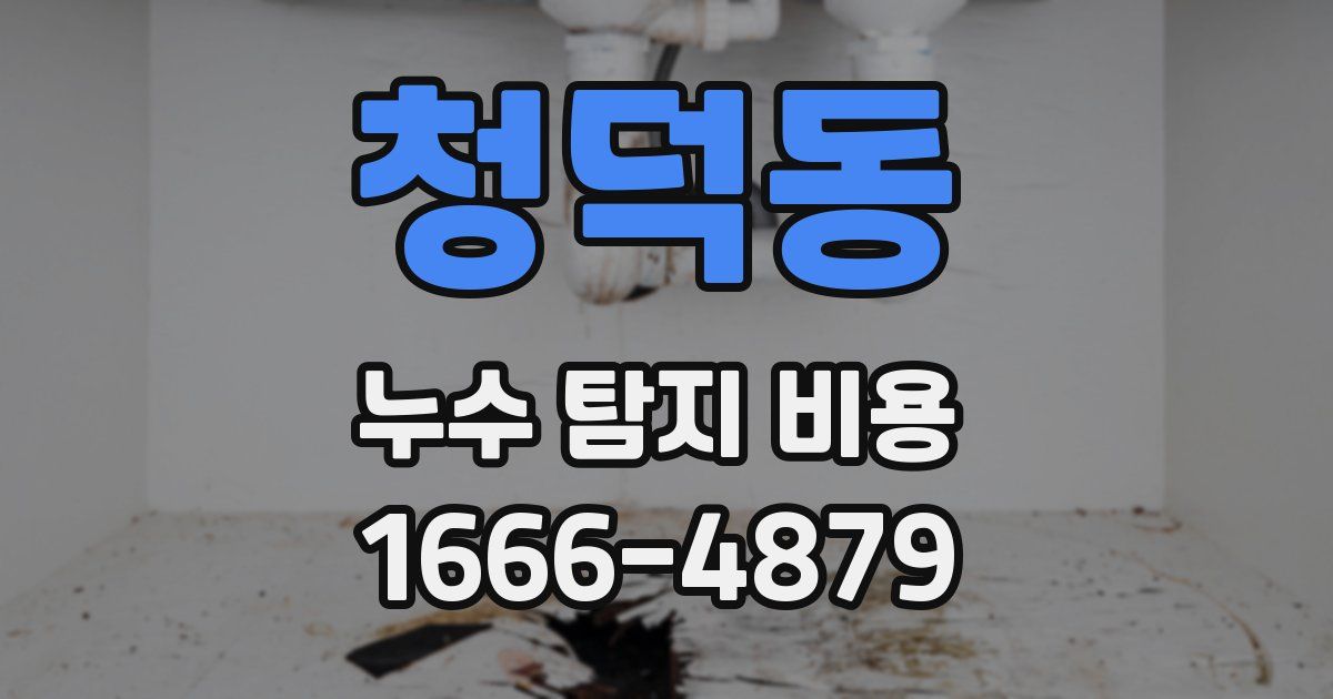 청덕동 누수 탐지 비용