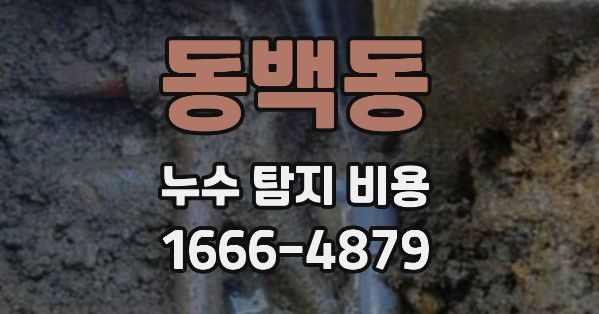 동백동 누수 탐지 비용