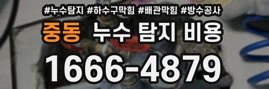 중동 누수 탐지 비용
