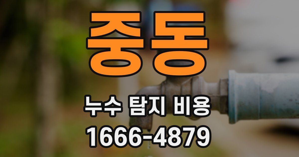 중동 누수 탐지 비용