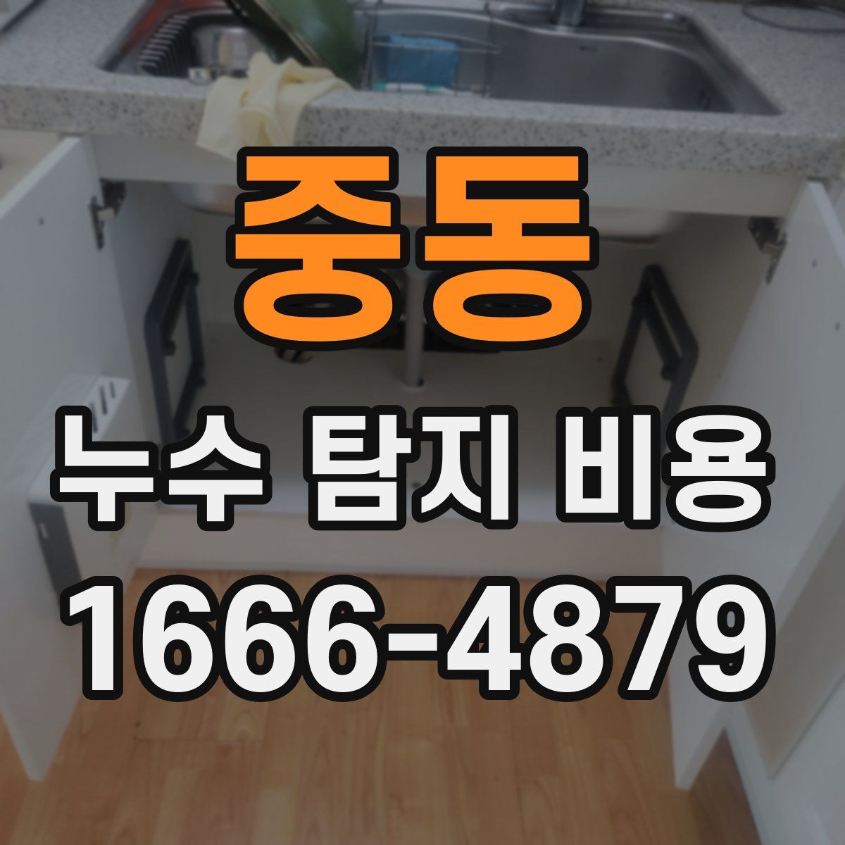 중동 누수 탐지 비용