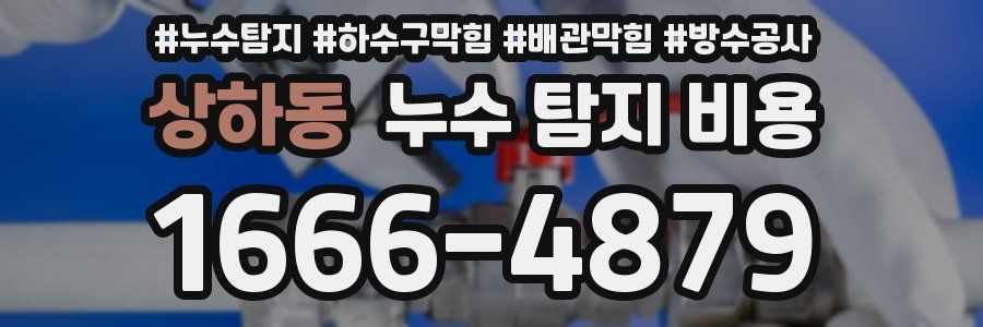 상하동 누수 탐지 비용