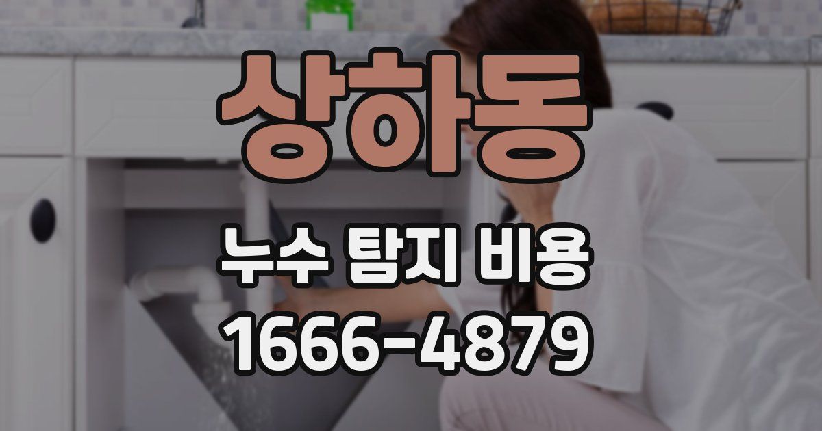 상하동 누수 탐지 비용