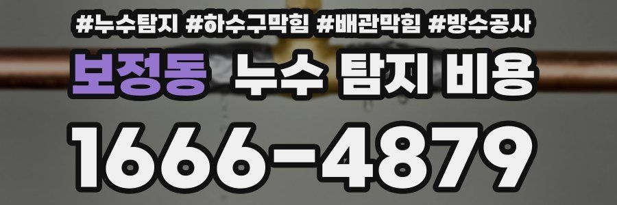보정동 누수 탐지 비용