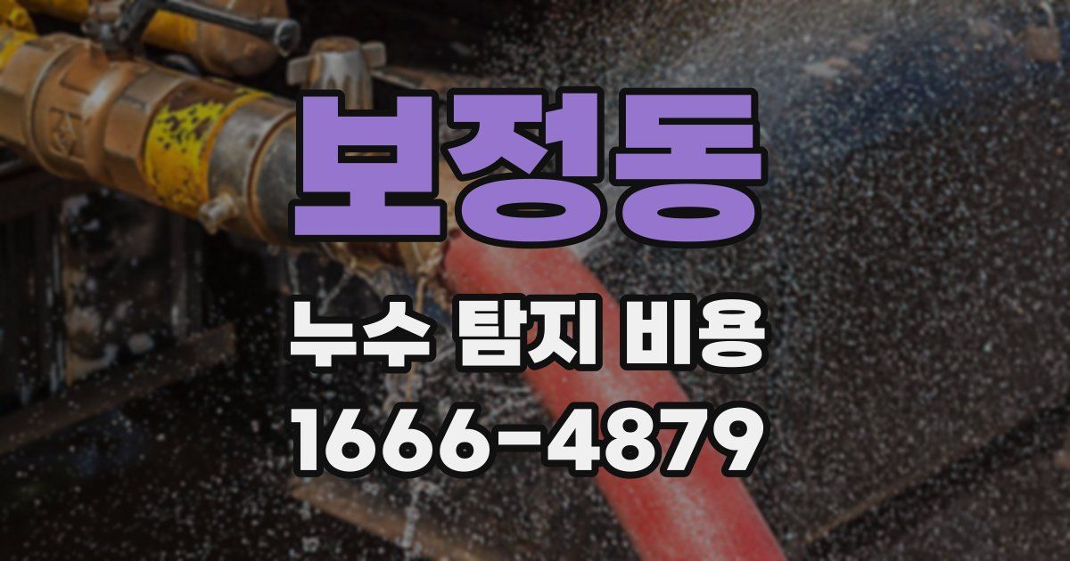 보정동 누수 탐지 비용