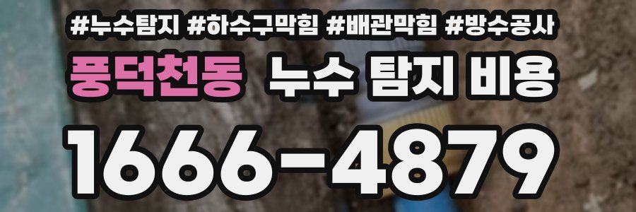 풍덕천동 누수 탐지 비용