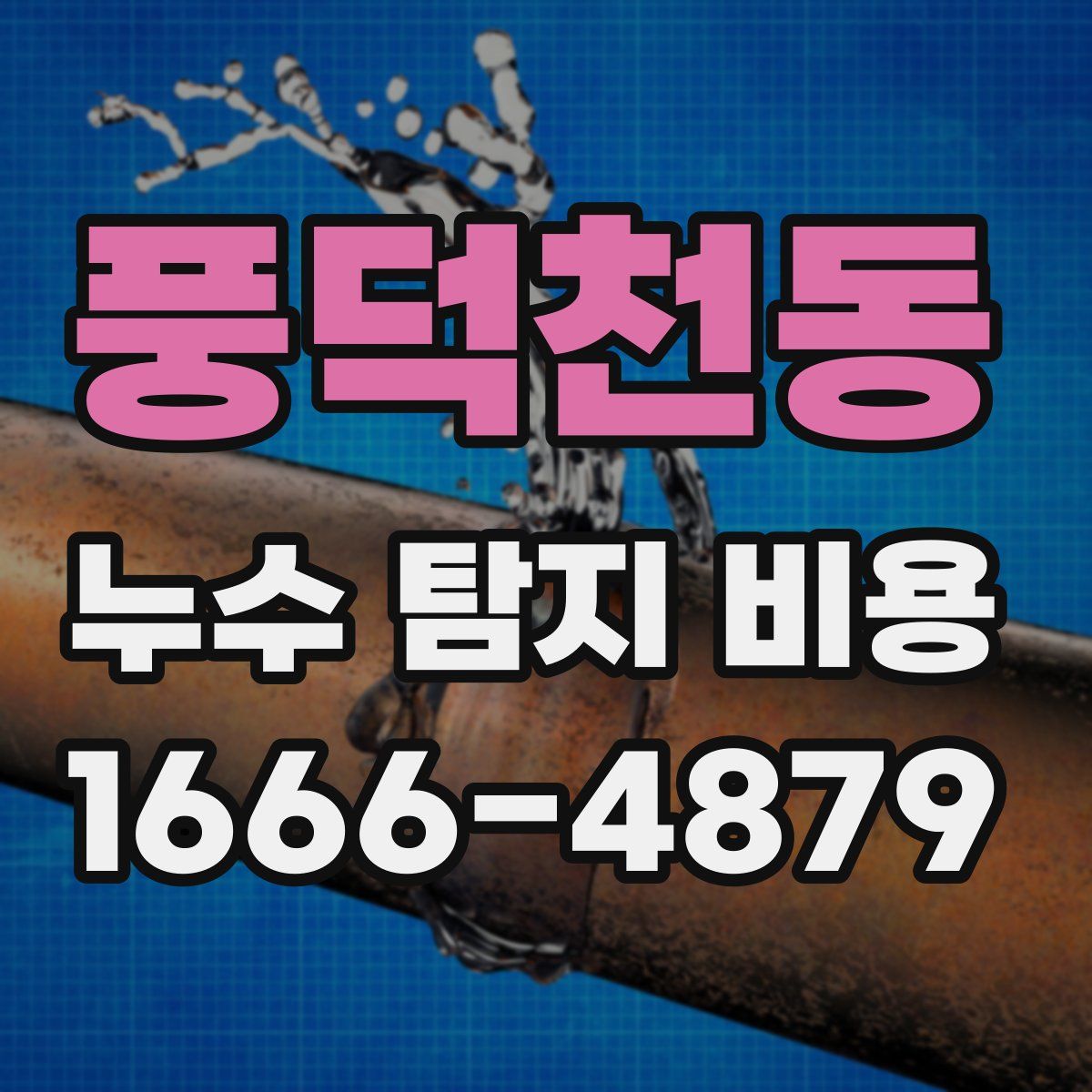 풍덕천동 누수 탐지 비용