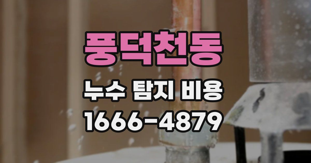 풍덕천동 누수 탐지 비용