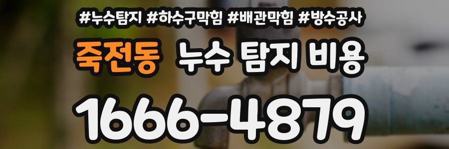 죽전동 누수 탐지 비용
