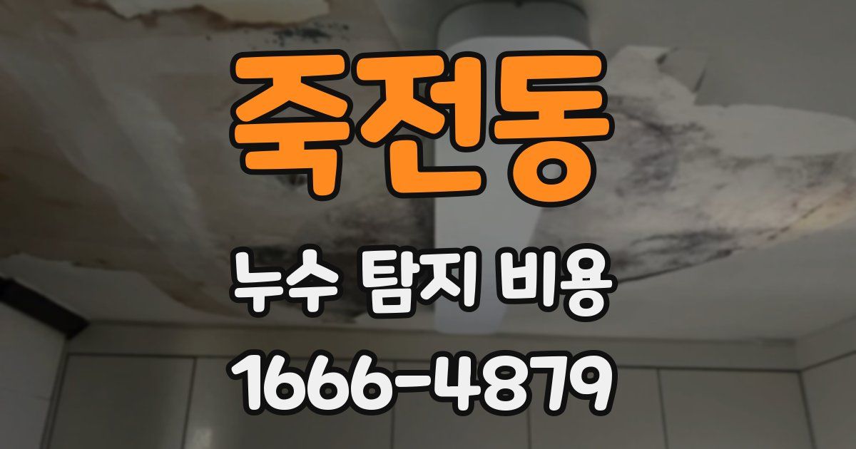죽전동 누수 탐지 비용