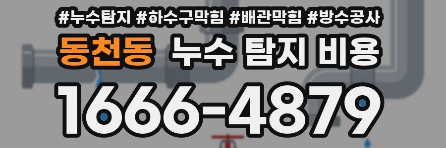 동천동 누수 탐지 비용