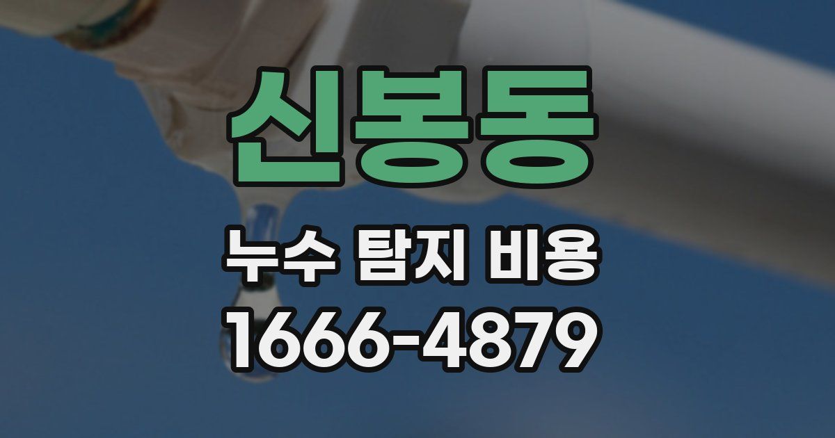 신봉동 누수 탐지 비용