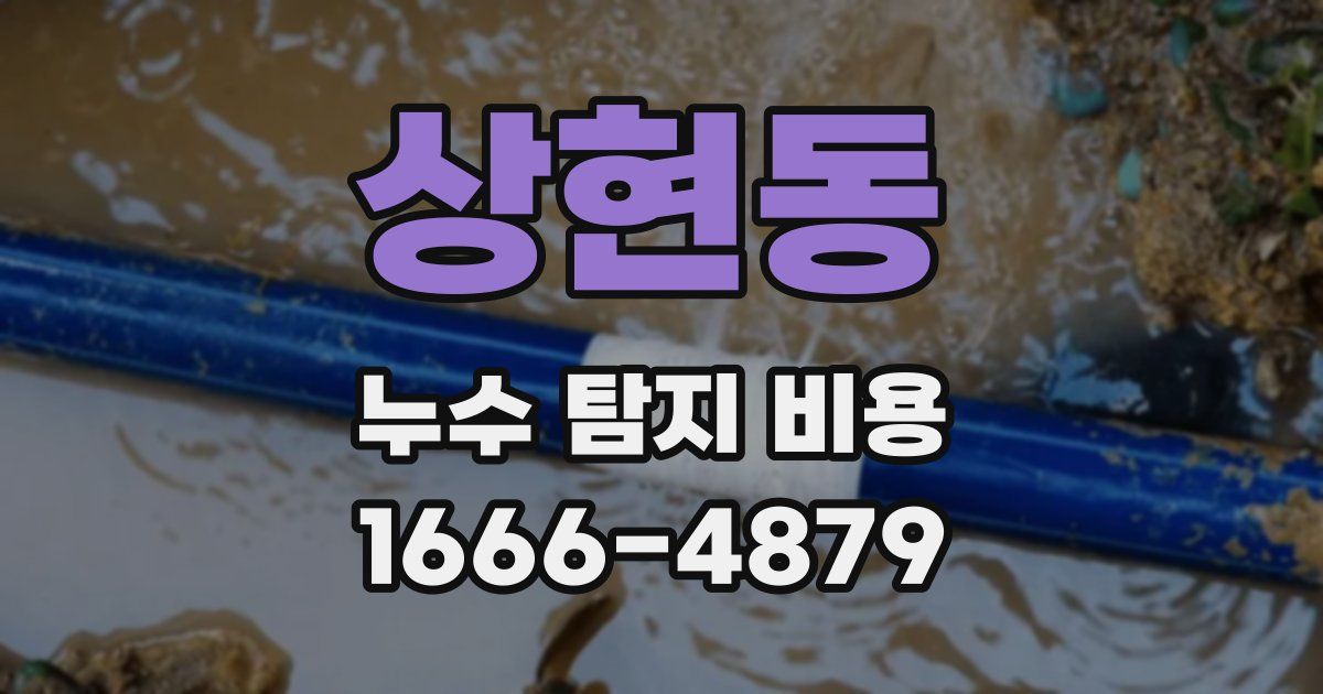 상현동 누수 탐지 비용