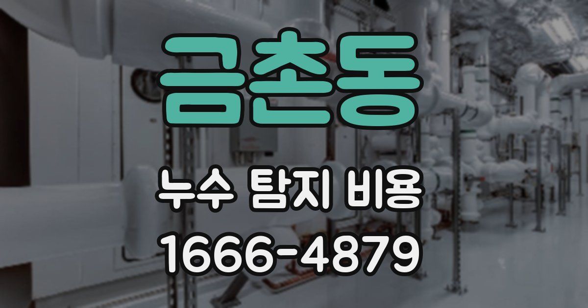 금촌동 누수 탐지 비용